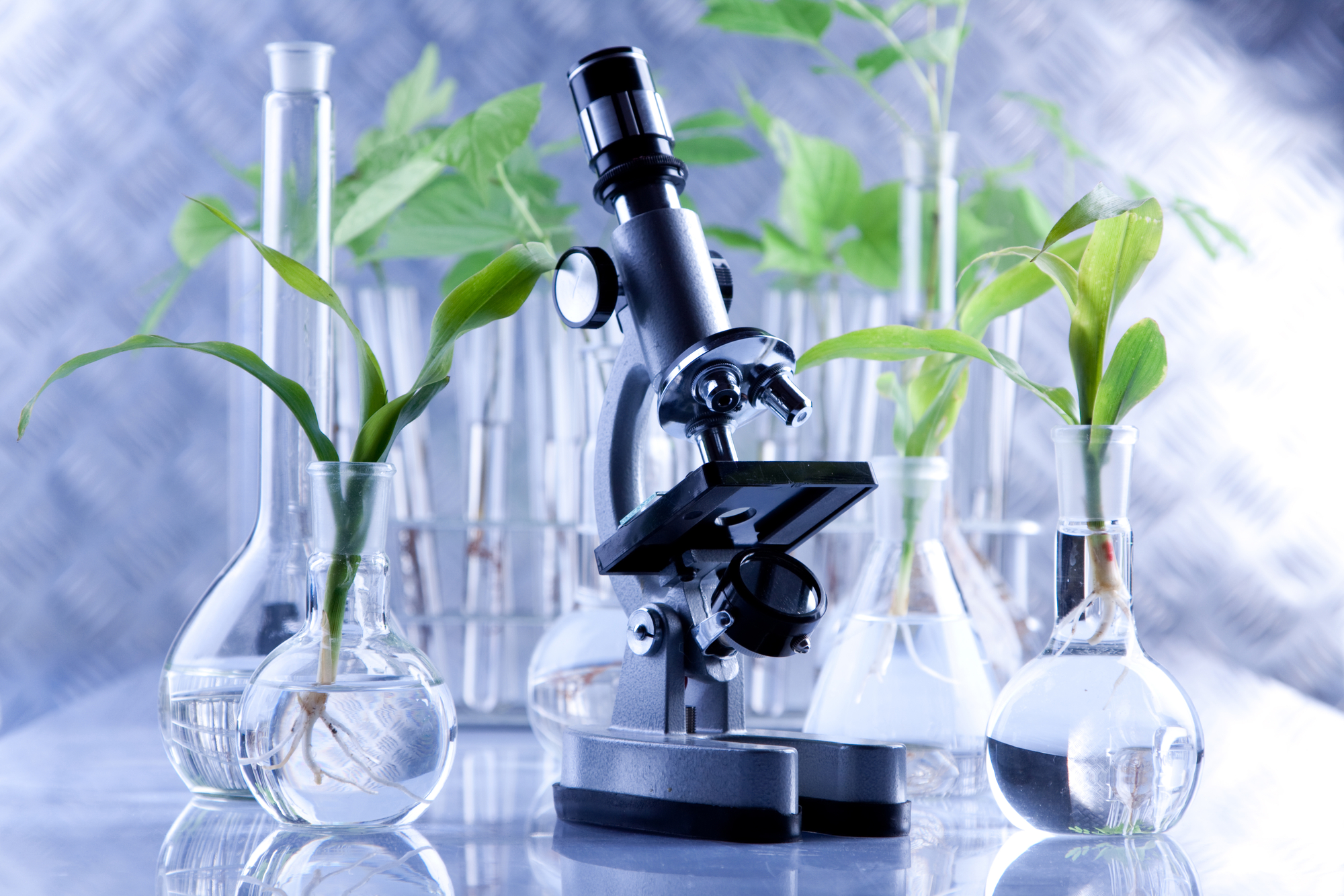 Exploring the Lucrative Biotechnology Market: Key Trends, Porter’s Analysis, and Key Takeaways