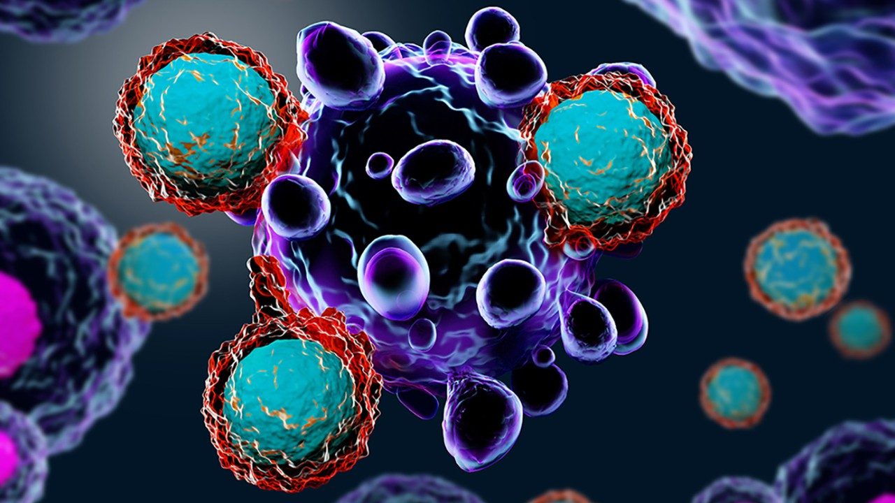 Cancer Immunotherapy Market: Building a Strong Defense Against Cancer