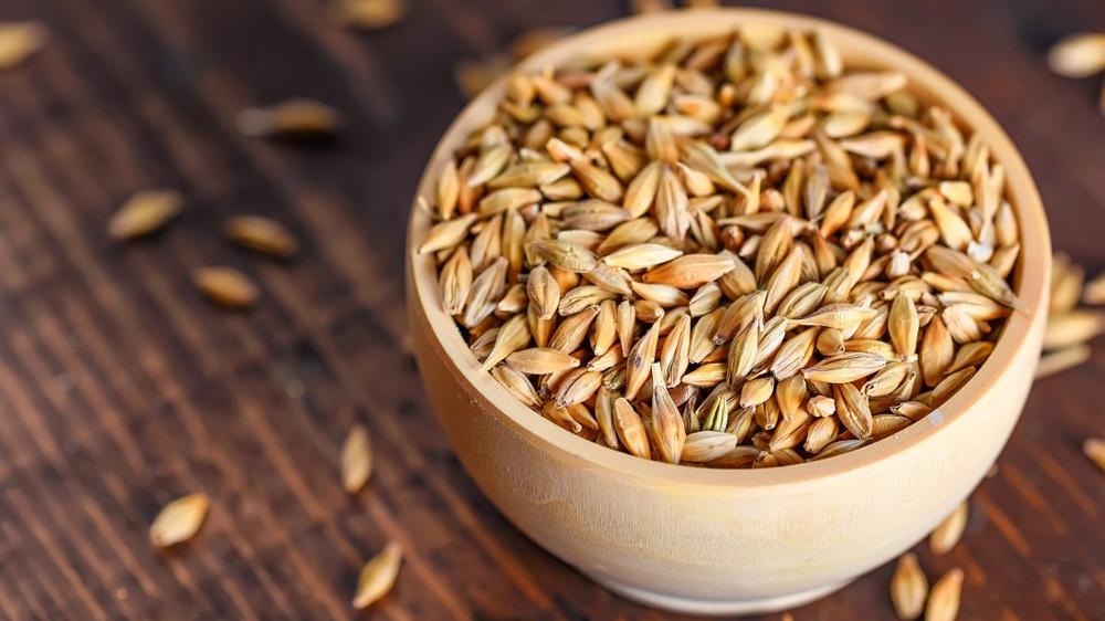 Latin America Barley Market: A Growing Trend in the Brewing Industry