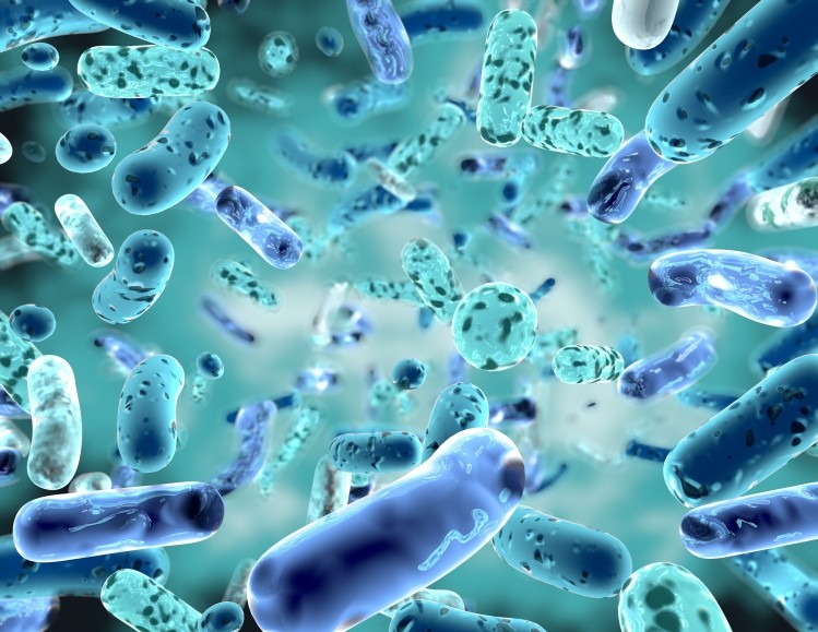 The Next Generation Probiotics Market Is Estimated To Witness High Growth Owing To Growing Awareness Regarding Gut Health & Rising Demand for Personalized Probiotics