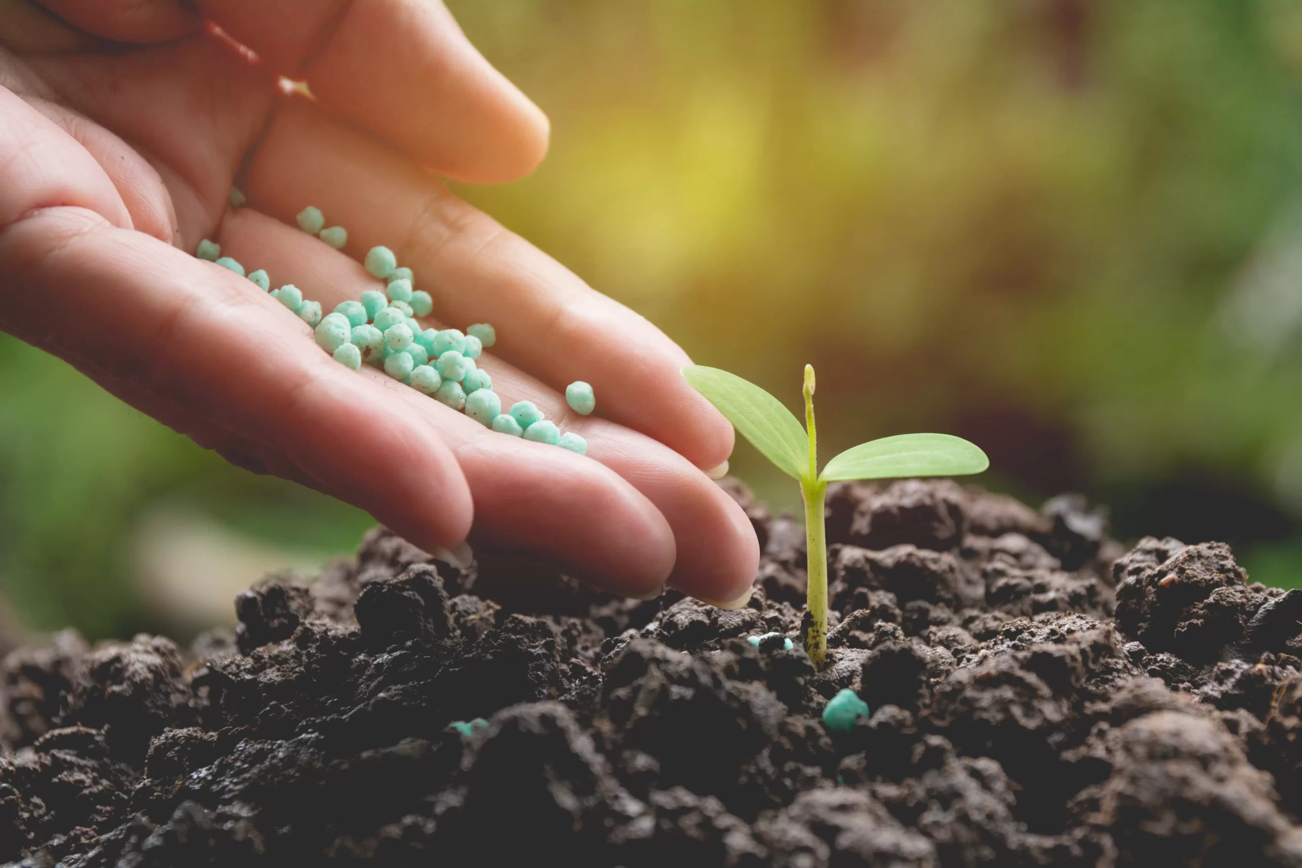 Global Organic Fertilizer Market Is Estimated To Witness High Growth Owing To Growing Demand for Chemical-Free Food Products