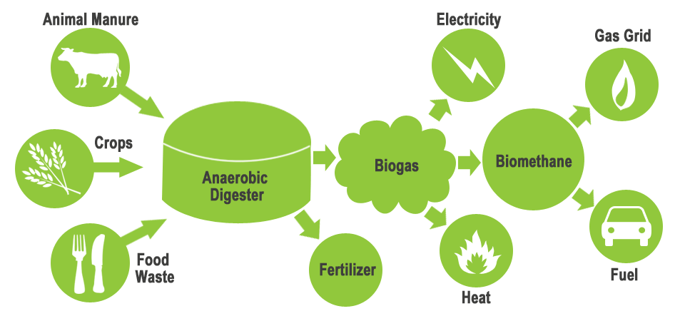 Waste and Biomass Valorization Market