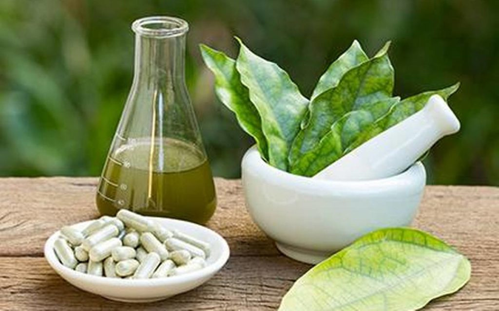 Herbal Nutraceuticals Market: Growing Demand For Natural And Organic Products