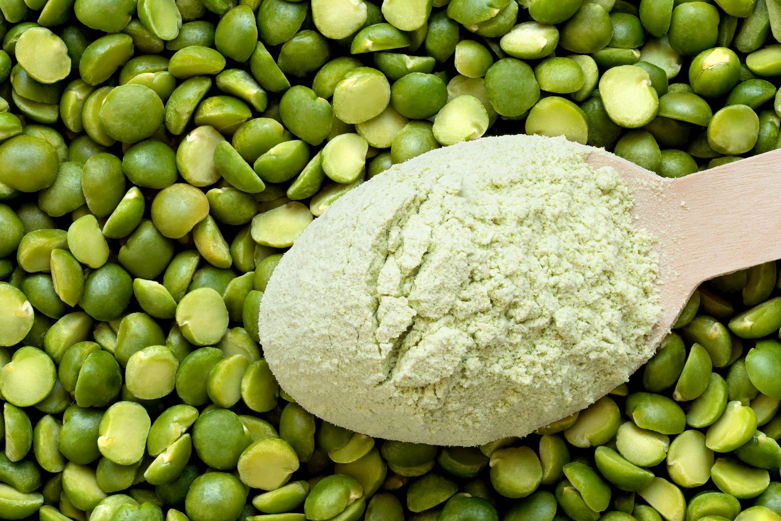 Future Prospects of the Pea Protein Market