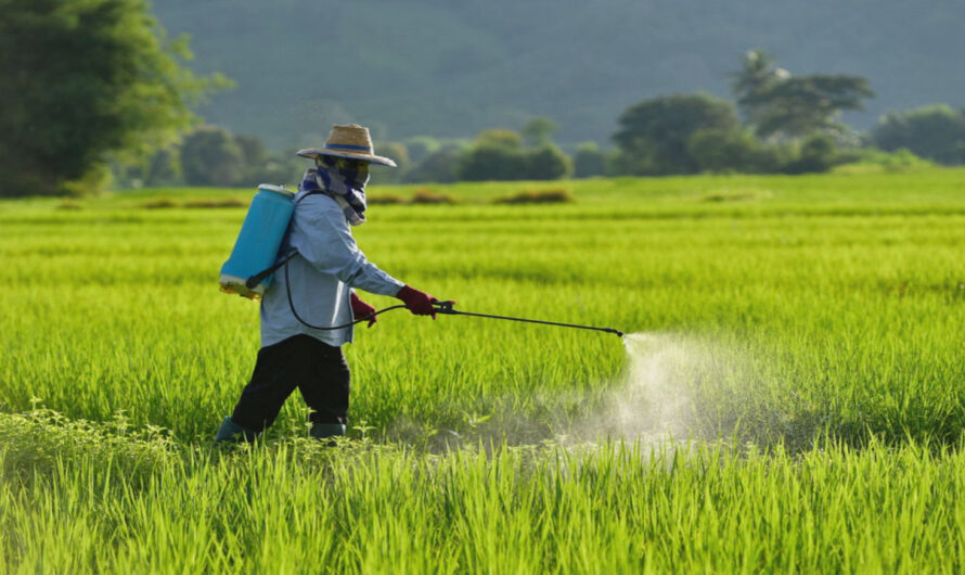 Growing Demand for Crop Protection Chemicals Market to Drive the Globally