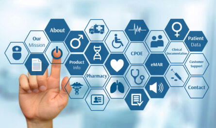 Healthcare IT Consulting Market