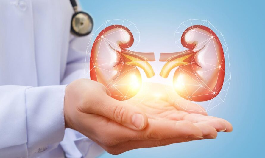 Kidney Transplant Market Is Estimated To Witness High Growth Owing To Increasing Prevalence of Renal Disorders and Technological Advancements