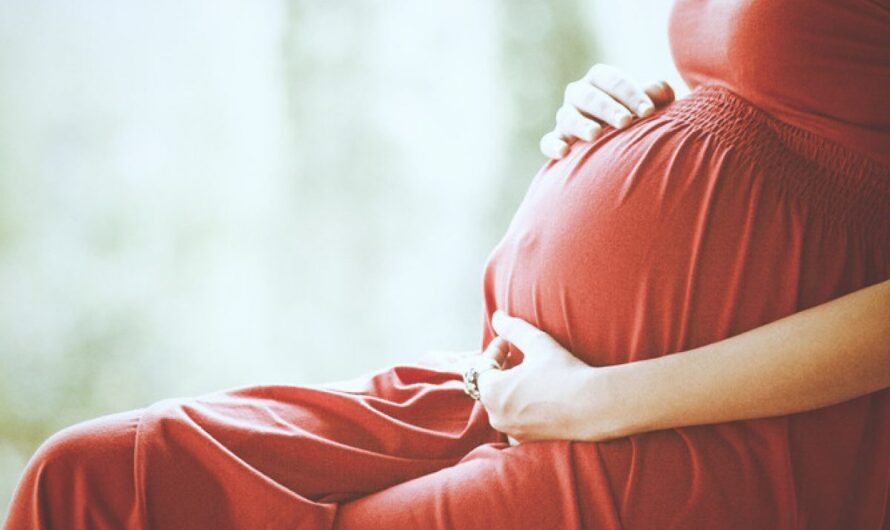 Yale Researchers Discover the Crucial Role of Protein CXCR4 in Pregnancy