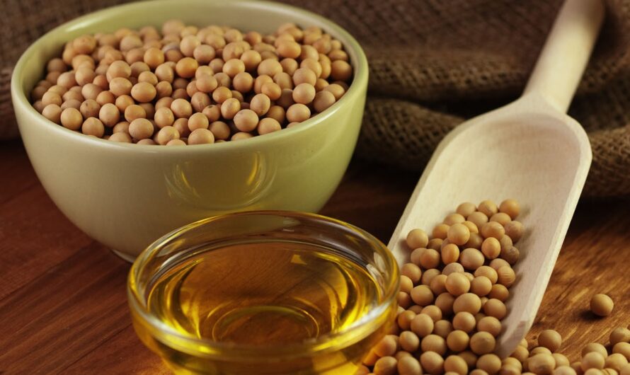 Soy Lecithin Market is Estimated To Witness High Growth Owing To Expanding Food and Beverage Industry and Increasing Preference for Natural Ingredients