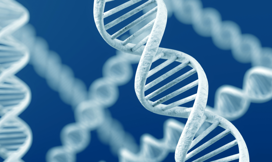 The increased demand for customized DNA in biomedical research opens up new avenues for the DNA Synthesizer Market