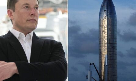 Elon Musk Evaluates Upgraded Launchpad for Starship Test Flights