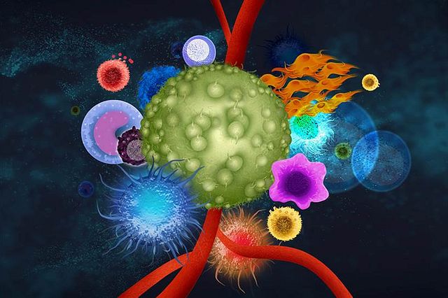 Immuno-Oncology Assays Market is Estimated to Witness High Growth Owing to Increasing Adoption of Personalized Medicine