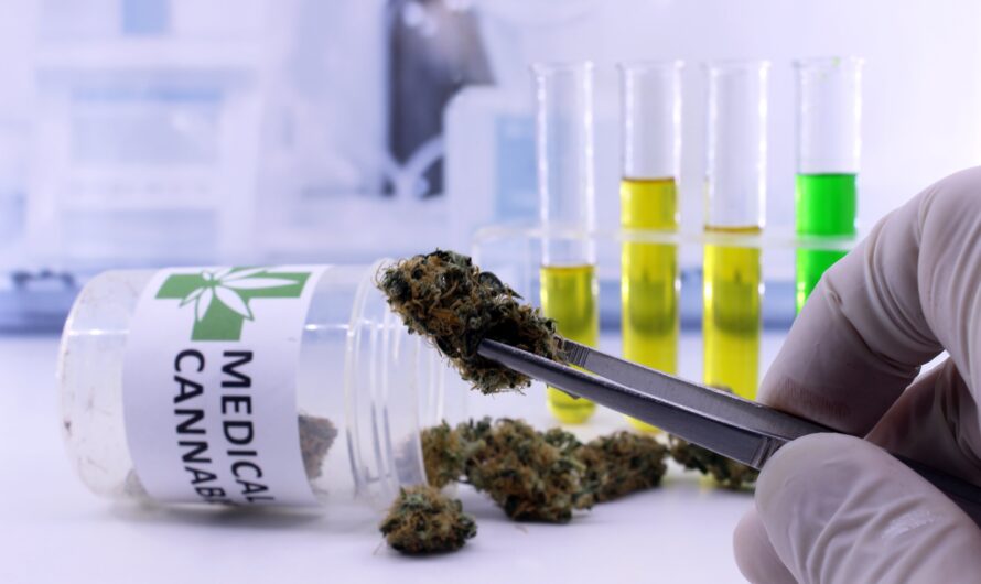 Medicinal Cannabis Market Is Estimated To Witness High Growth Owing To Increasing Adoption And Legalization Of Cannabis For Medical Purposes