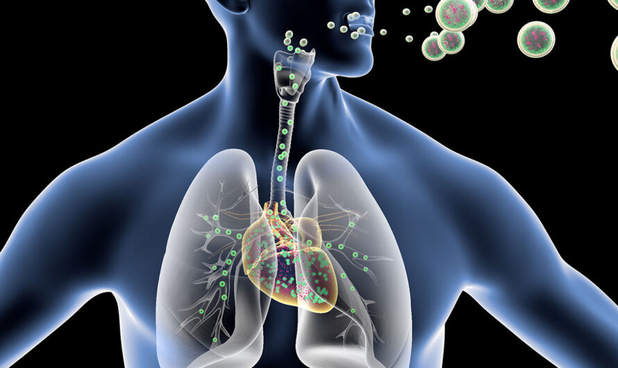 New Study Finds No Convincing Evidence that Air Purifiers Prevent Respiratory Infections