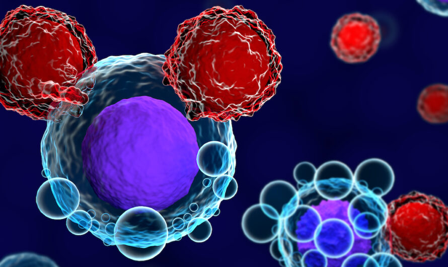 Personalized Cell Therapy Market Is Estimated To Witness High Growth Owing To Increasing Prevalence of Chronic Diseases and Rising Demand for Targeted Therapies