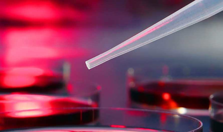 Red Biotechnology Market Ready to Achieve an Outstanding Growth during the Forecast Period 2023-2030