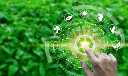 Waste to Energy Market