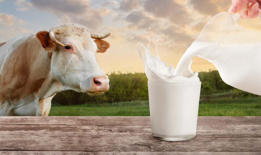 A2 Milk Market Is Expected To Driven By Rising Health Consciousness Among Consumers