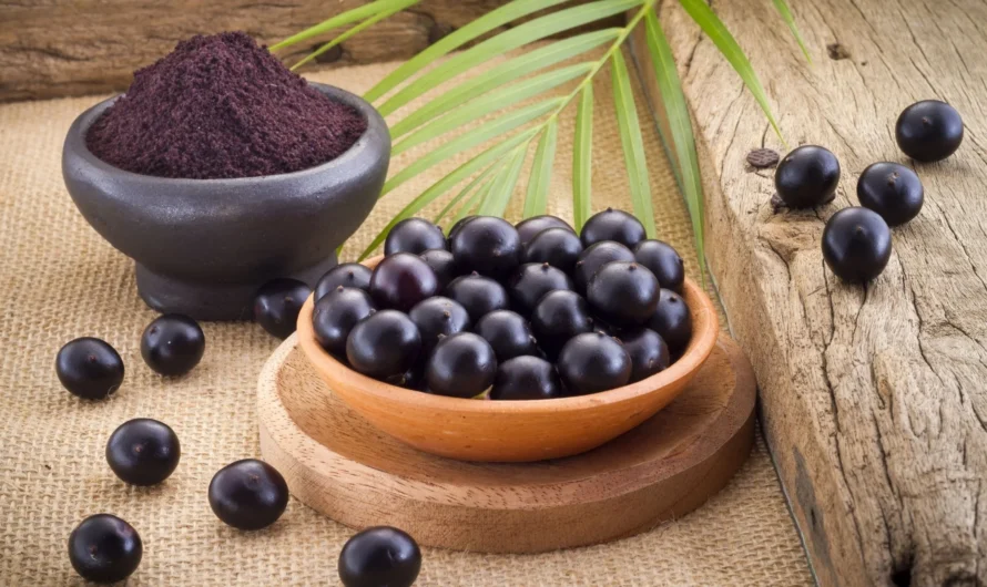 The Global Acai Berry Market Is Estimated To Be Valued At US$ 1656.7 Mn In 2023