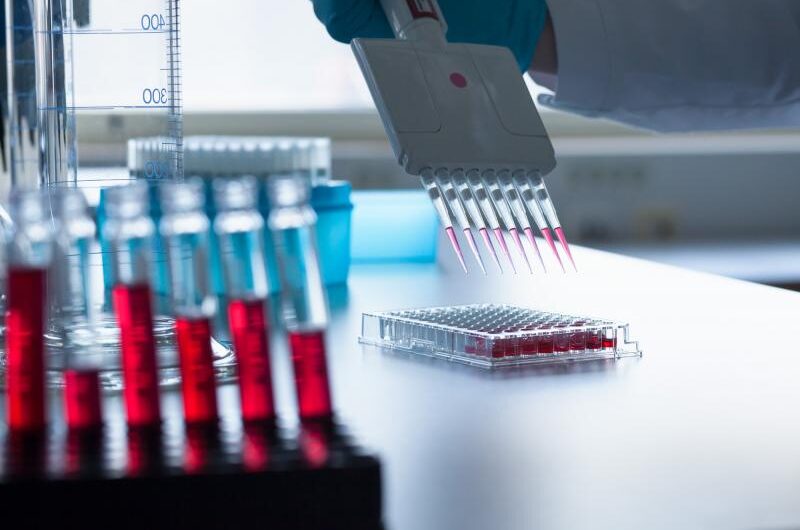 The Rising Demand For Rapid Diagnosis Is Fueling The Blood Based Biomarker Market Growth