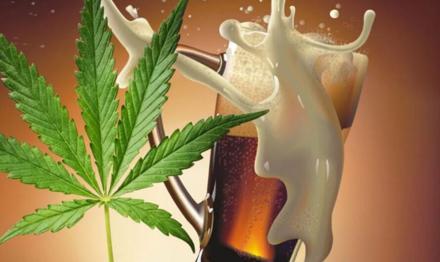 Cannabis-Infused Beverage Market Driven by Increasing Consumer Preference for Alternative Beverages
