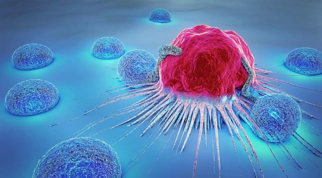Cell Therapy Demonstrates Safety and Efficacy for Lymphoma Patients in Remission