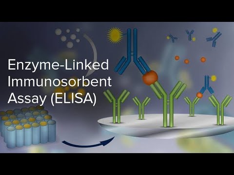 The Global Enzyme Linked Immunosorbent Assay Market Driven By Advancements In ELISA Test Kits Is Estimated To Be Valued At US$ 2118.92 Mn In 2023