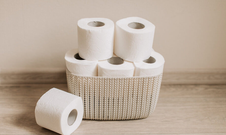 Rising Demand for Eco-Friendly Tissue and Hygiene Products to Drive Growth of Europe Tissue and Hygiene Paper Market
