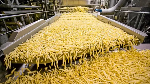 French Fries Processing Machine Market