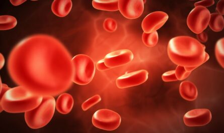 Prenatal Stem Cells Show Potential in Treating Hemophilia A, According to Preclinical Study