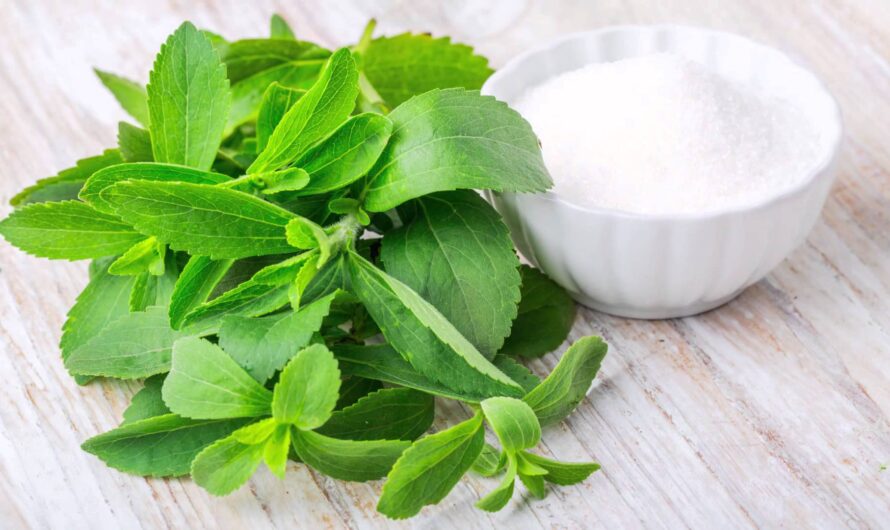 The Rapid Adoption of Low-calorie Sweeteners is anticipated to open up the new avenue for Stevia Market