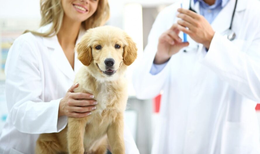 Rising prevalence of zoonotic diseases is anticipated to open up the new avenue for Veterinary Vaccines Market