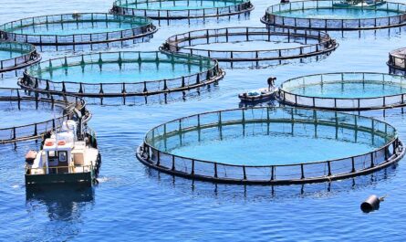Aquaculture Water Treatment Systems Market and Recirculating Aquaculture Systems