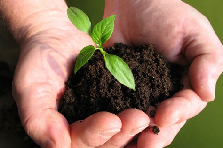 The Demand for Nutrient-enriched Crops Boosts the Biofertilizers Market