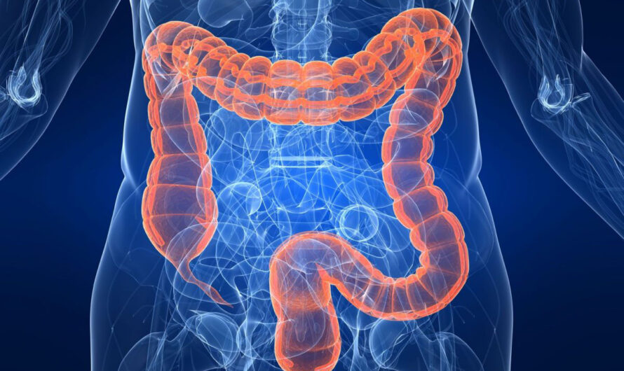 The Colonoscopy Devices Market Is Expected To Be Flourished By Rising Geriatric Population Seeking Colon Cancer Screening