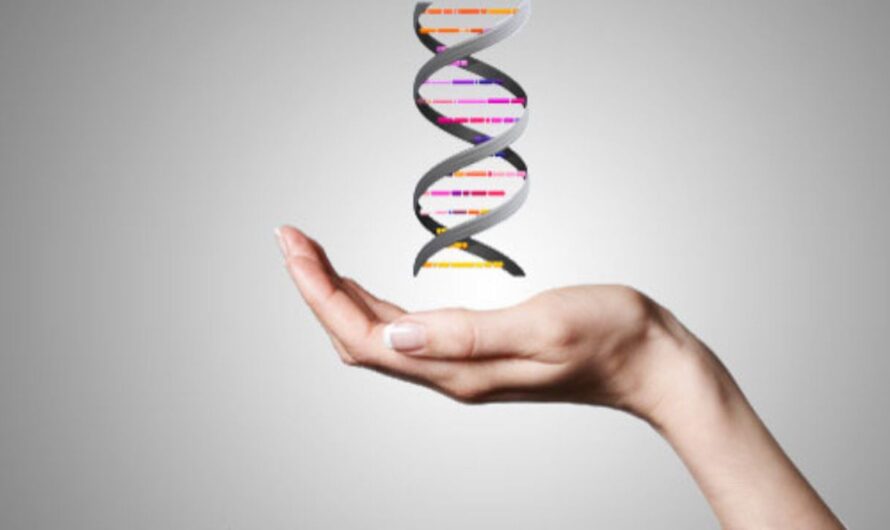 The Global Epigenetics Market Is Driven By Technological Advancements In Epigenetic Techniques