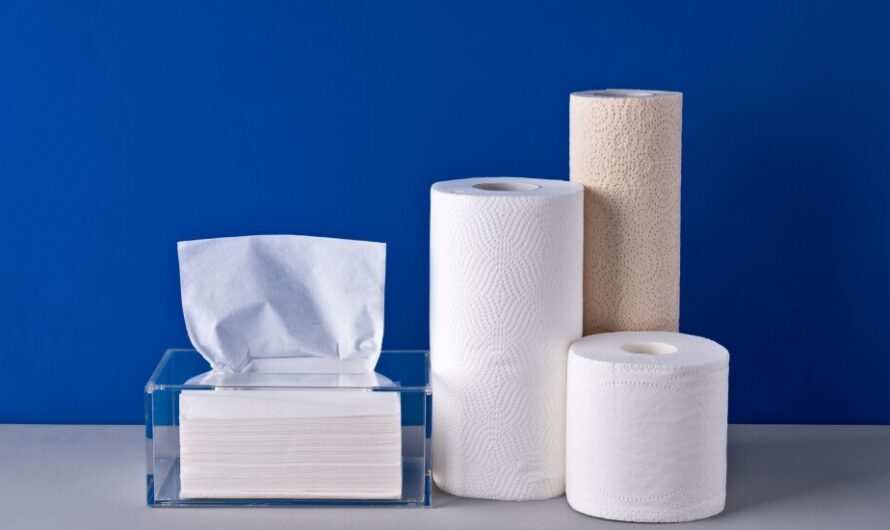Europe Tissue and Hygiene Paper Market Driven by Increased Demand for Sustainable Hygienic Products