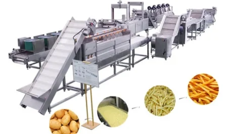 French Fries Processing Machine Market