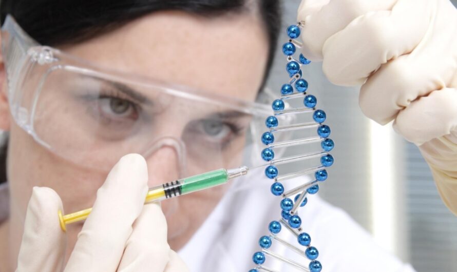 New Blood Test Identifies Genetic Diseases in Fetuses, Study Finds