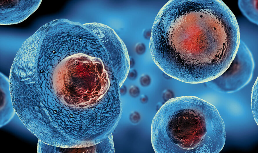Human Embryonic Stem Cells Market Driven By Rising Usage In Drug Discovery And Development