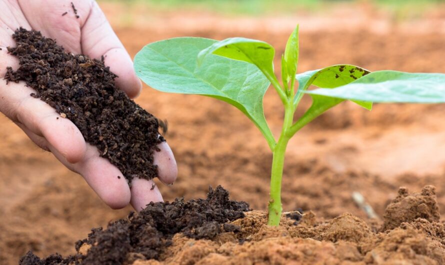 Humic Acid Market Is Expected To Be Flourished By Growing Demand For Organic Farming