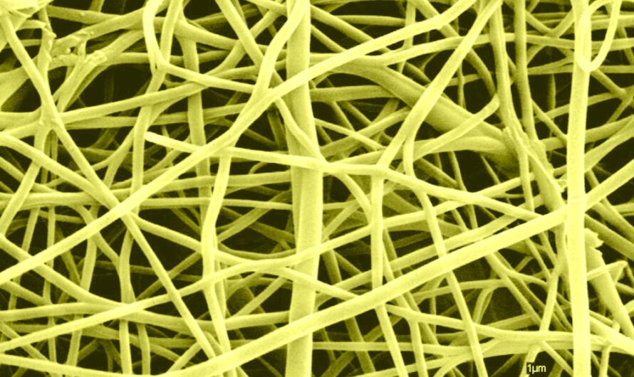 The Nanofiber Market Is Expected To Be Flourished By Growing Demand From Medical Applications