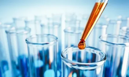 North America Commodity Chemicals Market