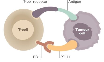 PD-1 And PD-L1 Inhibitor Market