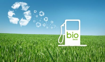 Renewable Bio Jet Fuel Market