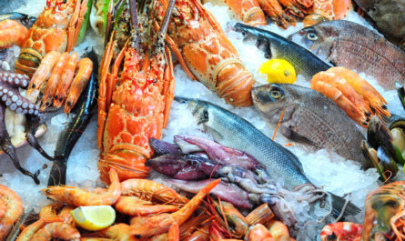 Seafood Broth Market