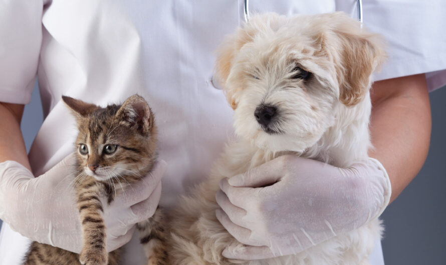 The Global Veterinary Oncology Market Is Driven By Rising Pet Adoption And Increasing Healthcare Expenditure On Companion Animals
