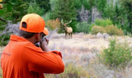 Wildlife Hunting Tourism Market