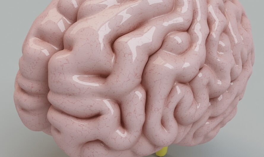 Researchers Make Breakthrough with 3D-Printed Brain Tissue