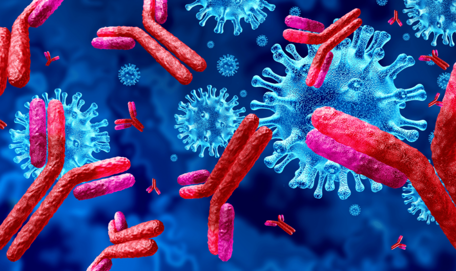 Antibodies: Nature’s Protection Against Pathogens
